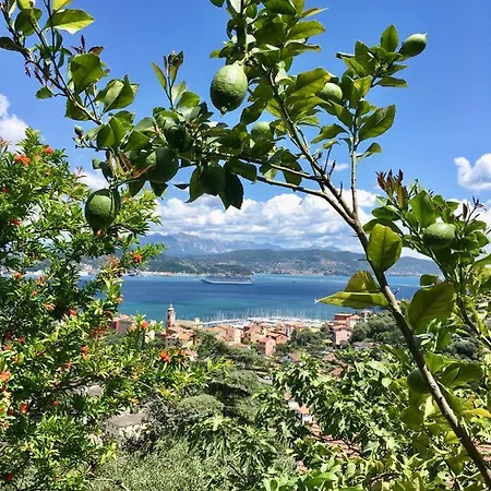 La Terrazza Con L'ulivo - Con Terrazza E Vista Sul Golfo Dei Poeti בית הארחה לה ספציה