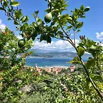 La Terrazza Con L'ulivo - Con Terrazza E Vista Sul Golfo Dei Poeti Vendégház La Spezia