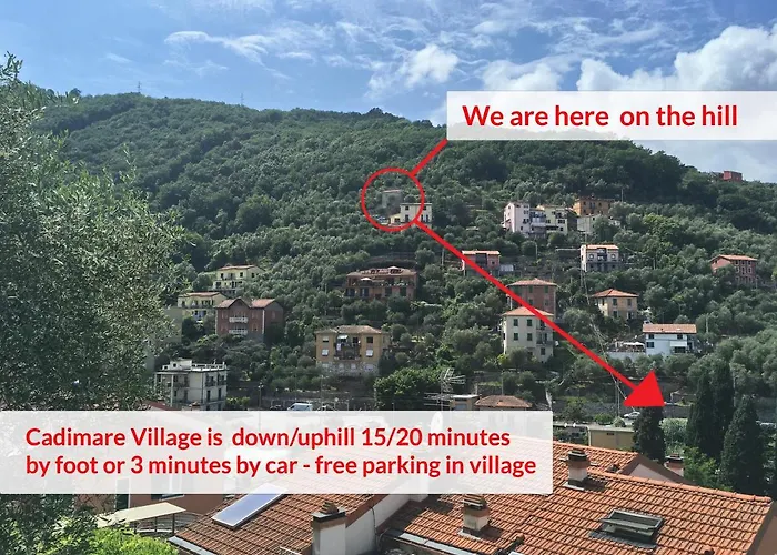 La Terrazza Con L'ulivo - Affittacamere Con Terrazzo E Vista Sul Golfo Dei Poeti 3*