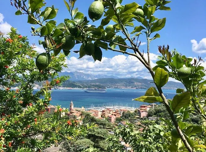 La Terrazza Con L'ulivo - Affittacamere Con Terrazzo E Vista Sul Golfo Dei Poeti Affittacamere La Spezia
